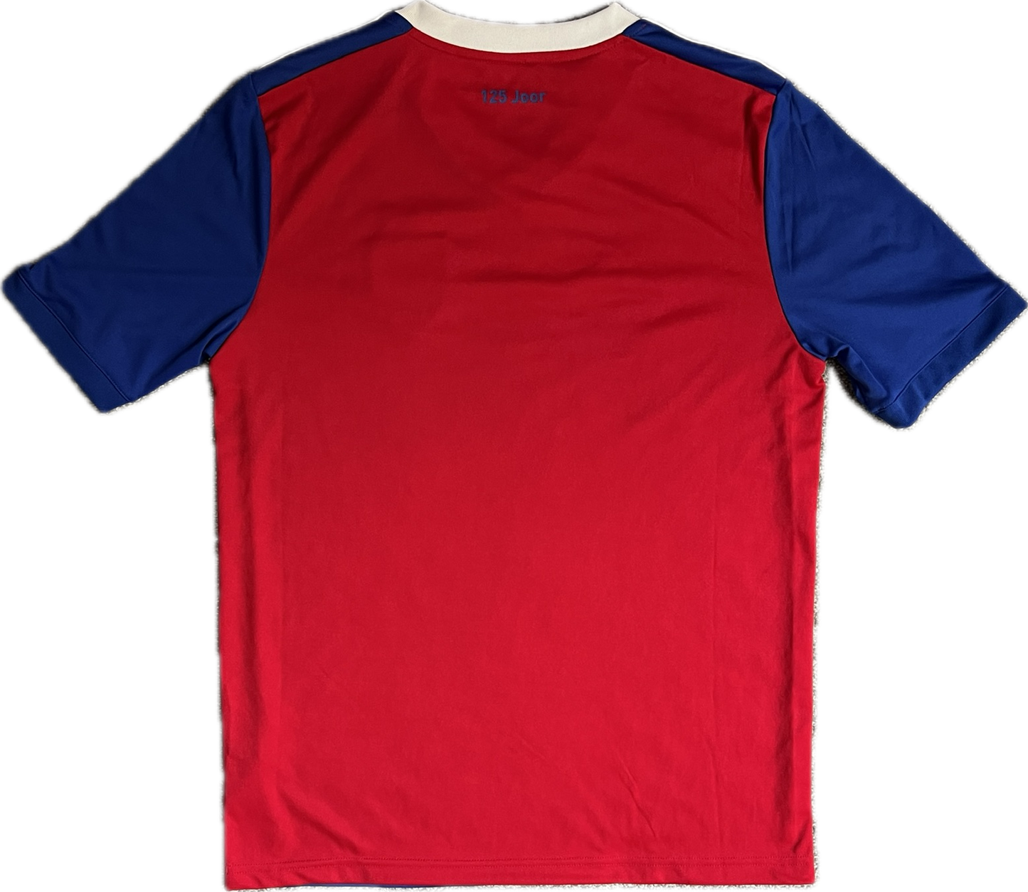 FC Basel 2018/19 Home Shirt - XS